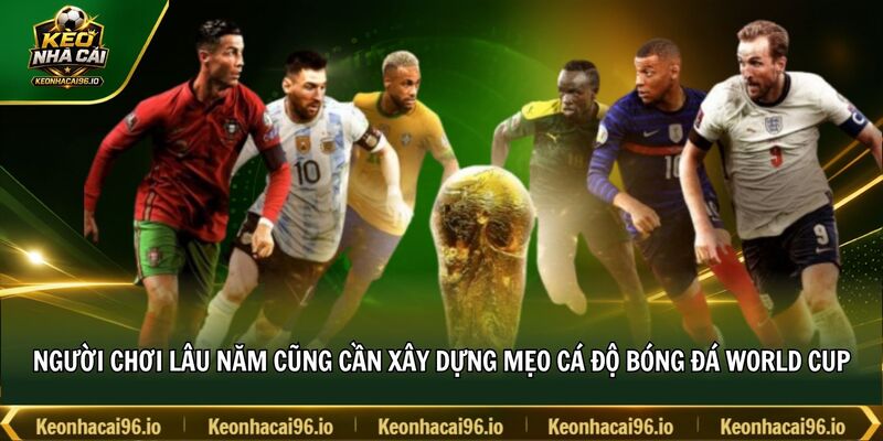 Người chơi lâu năm cũng cần xây dựng mẹo cá độ bóng đá World Cup