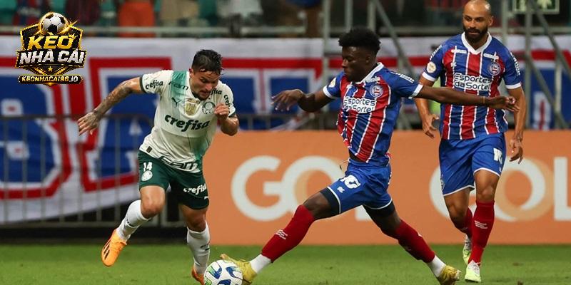 Nhận định Palmeiras vs Bahia